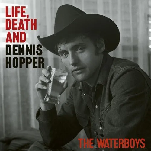 WATERBOYS / ウォーターボーイズ / LIFE, DEATH, & DENNIS HOPPER [CD]