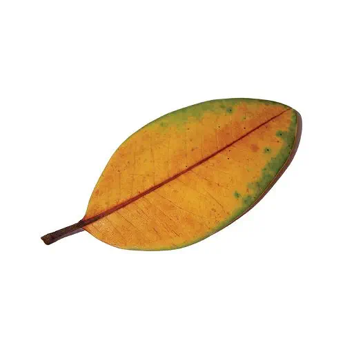 LA QUIETE / ラ・クイエテ / LA FINE NON E LA FINE (CASSETTE)