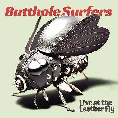 BUTTHOLE SURFERS / バットホール・サーファーズ / LIVE AT THE LEATHER FLY (VINYL)