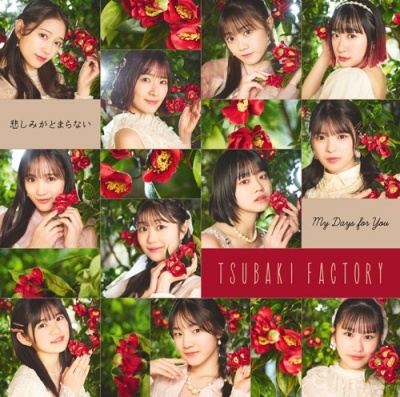 CAMELLIA FACTORY / つばきファクトリー商品一覧｜JAPANESE ROCK