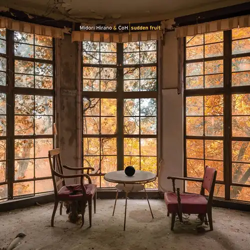 COH & MIDORI HIRANO / SUDDEN FRUIT