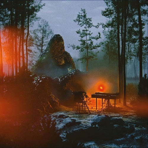 邦楽 BIALYSTOCKS / Songs for the Cryptids LP Songs for the Cryptids(LP)/Bialystocks/Bialystocksの3枚目の