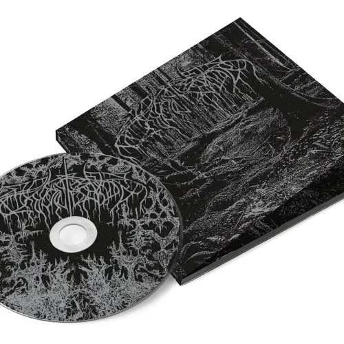 Argonavis/GYROAXIA - 【Amazon.co.jp限定】きっと僕らは/火花散