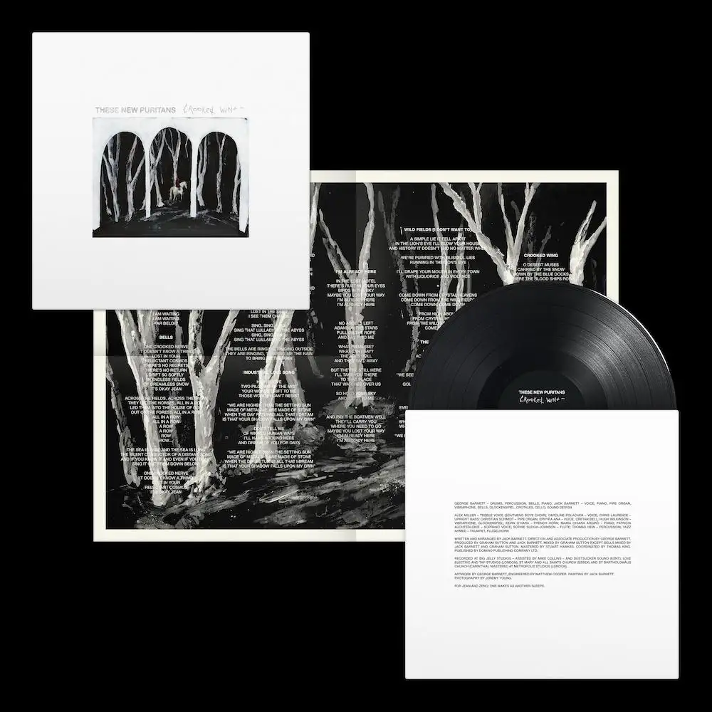 THESE NEW PURITANS / ジーズ・ニュー・ピューリタンズ / CROOKED WING(LP)