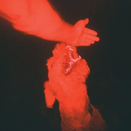 ELI WINTER / A TRICK OF THE LIGHT (COLORED VINYL)