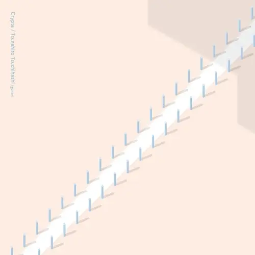 TSUNEHITO TSUCHIHASHI / 土橋庸人 / CRYPTE