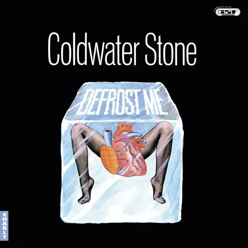 FREDDY BRIGGS (COLDWATER STONE) / フレディ・ブリッグス / DEFROST ME (CRYSTAL CLEAR VINYL)