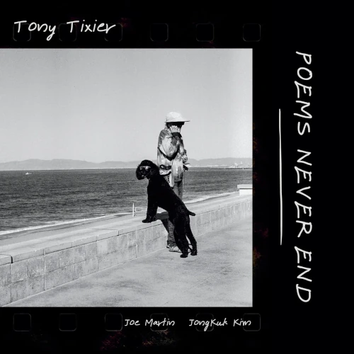 TONY TIXIER / トニー・ティキシェ / Poems Never End(LP)
