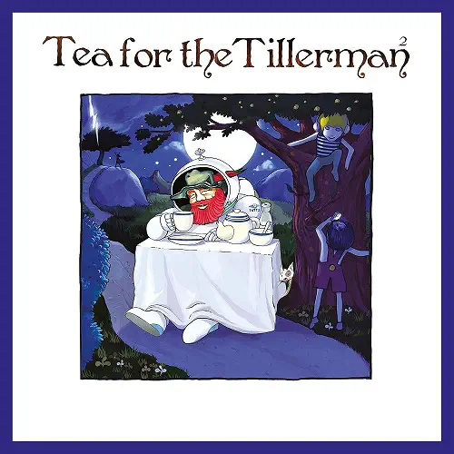 CAT STEVENS (YUSUF) / キャット・スティーヴンス(ユスフ) / TEA FOR THE TILLERMAN 2 (CD)