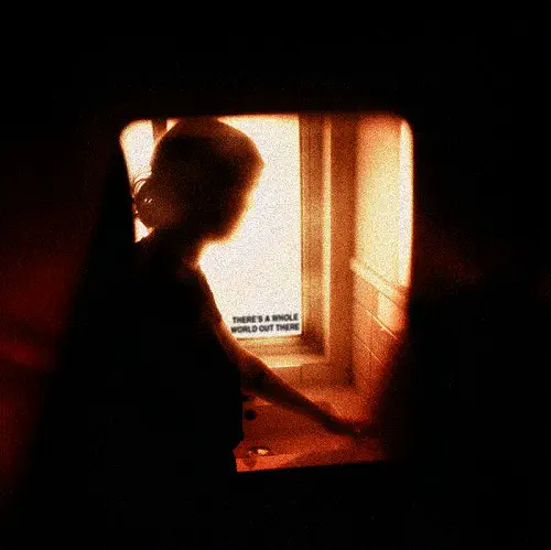 ARM'S LENGTH / アームズ・レングス / THERE'S A WHOLE WORLD OUT THERE (LP)