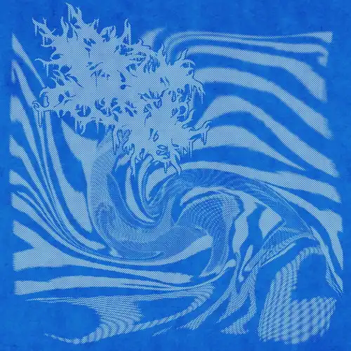 DC (JPN/PUNK) / DMC(CD)