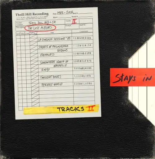 BRUCE SPRINGSTEEN / ブルース・スプリングスティーン / トラックス II : ザ・ロスト・アルバムズ