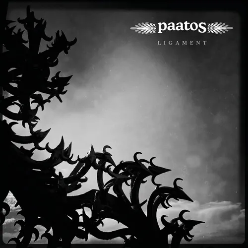 PAATOS / パートス / LIGAMENT: LIMITED VINYL
