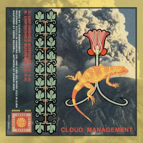 CLOUD MANAGEMENT / UNFINISHED BUSINESS