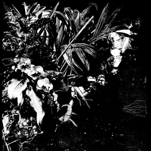 JEF MERTENS / Orchid Alto(LP)