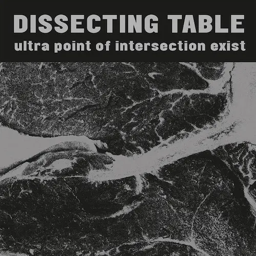 ニ－ル・ディナ－リ　インタラプテッド・プロジェクションズ Ultra Point Of Intersection Exist (LP)/DISSECTING TABLE/ディ
