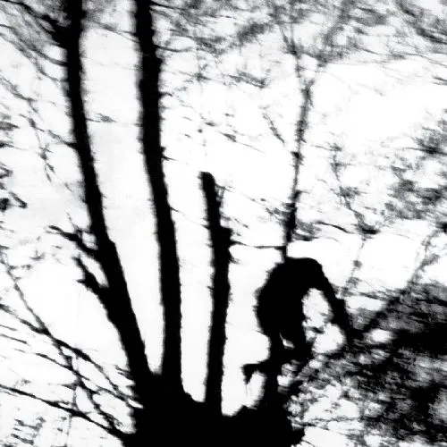 CINDYTALK / CAMOUFLAGE HEART