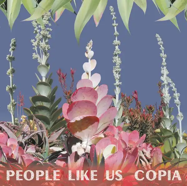 PEOPLE LIKE US / COPIA