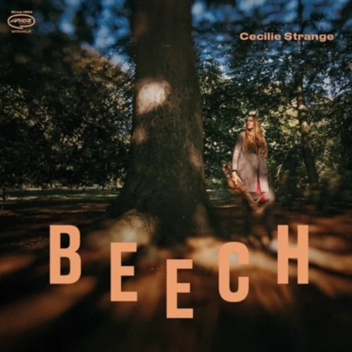 CECILIE STRANGE / セシリエ・ストレンジ / Beech
