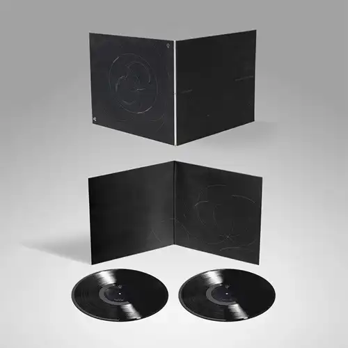 STEVE BICKNELL / スティーヴ・ビックネル / SEVERAL STREAMS OF THOUGHT LP (2x12")