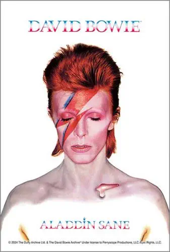 DAVID BOWIE / デヴィッド・ボウイ商品一覧|ディスクユニオン DAVID BOWIE / デヴィッド・ボウイ商品一覧|ディスクユニオン