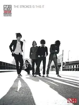 strokes ストロークス レコード2枚セット STROKES / ザ・ストロークス商品一覧｜ディスクユニオン