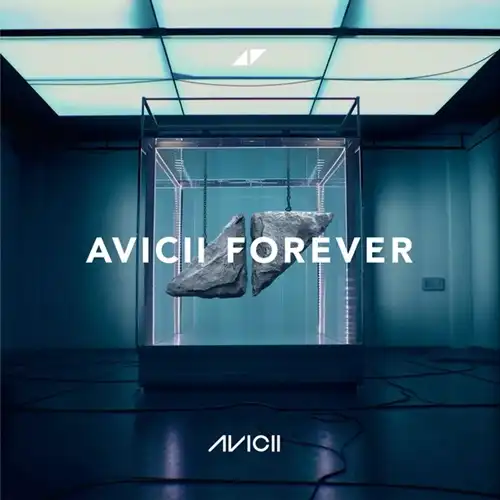 AVICII / アヴィーチー / Avicii Forever(CD)