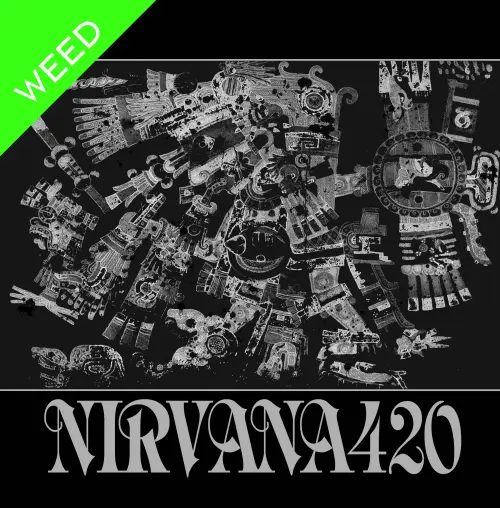 東京インスト・ドゥーム・メタル・バンド、NIRVANA420の1st