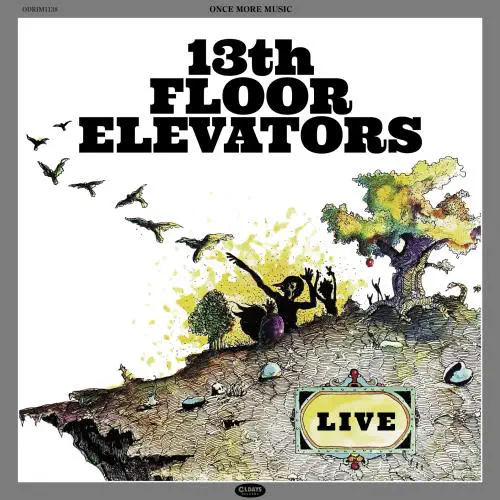 13TH FLOOR ELEVATORS / サーティーンス・フロア・エレヴェーターズ / ライブ (紙ジャケット)