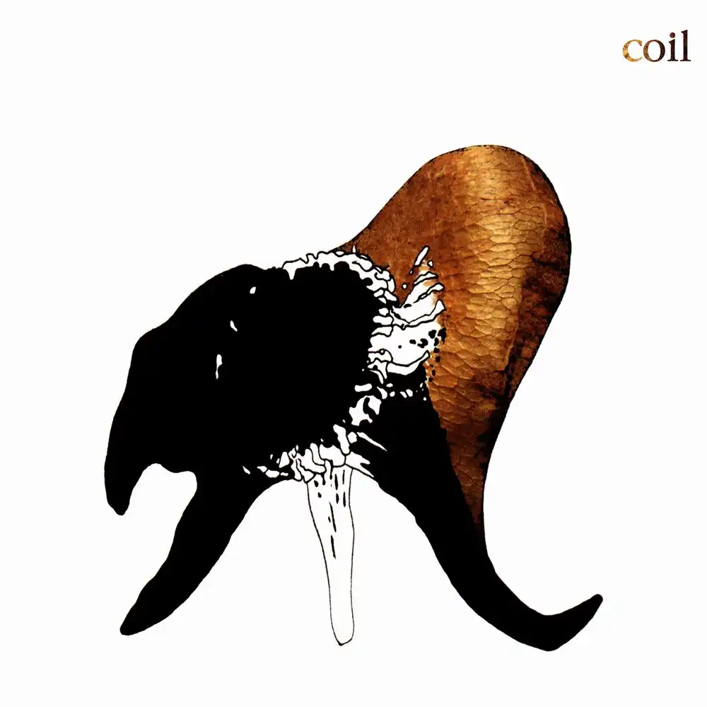 COIL / コイル商品一覧｜NOISE / AVANT-GARDE｜ディスクユニオン