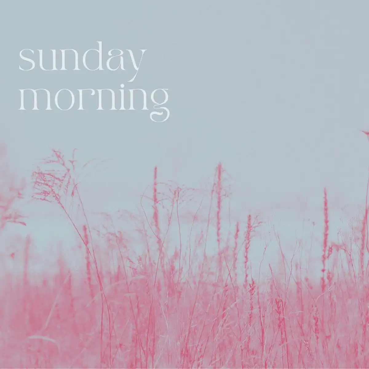 V.A. (ROCK / POPS) / SUNDAY MORNING [7" WHITE COLOR VINYL]