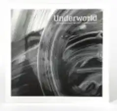 UNDERWORLD / アンダーワールド / Barbara Barbara We Face A Shining Future (Reissue) [CD]