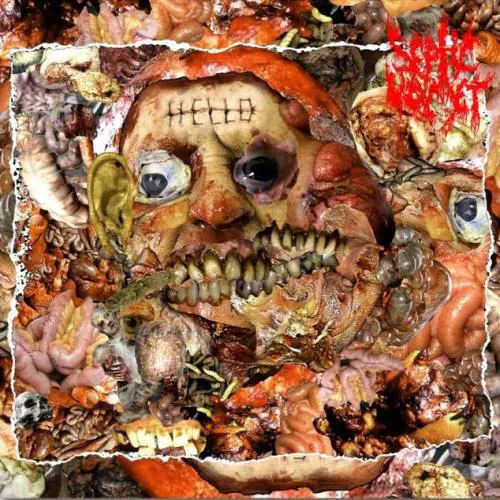 SEPTIC VOMET / セプティック・ヴォミット / REAL LIFE INSANITY