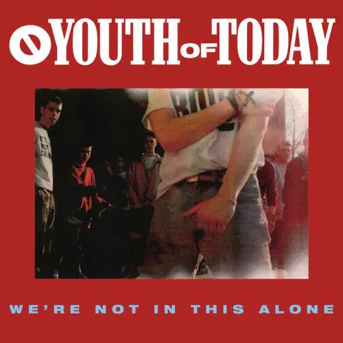 YOUTH OF TODAY / ユース・オブ・トゥデイ / WE'RE NOT IN THIS ALONE (CASSETTE)