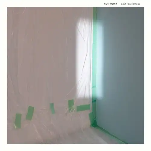 NOT WONK / Bout Foreverness (LP)