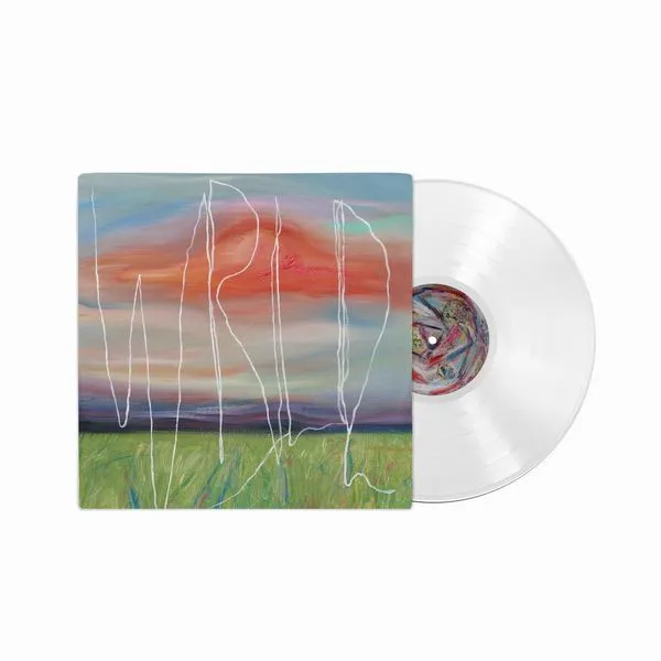 いじわる全集(2LP)/SATOKO SHIBATA/柴田聡子/ほぼ全編弾き語り