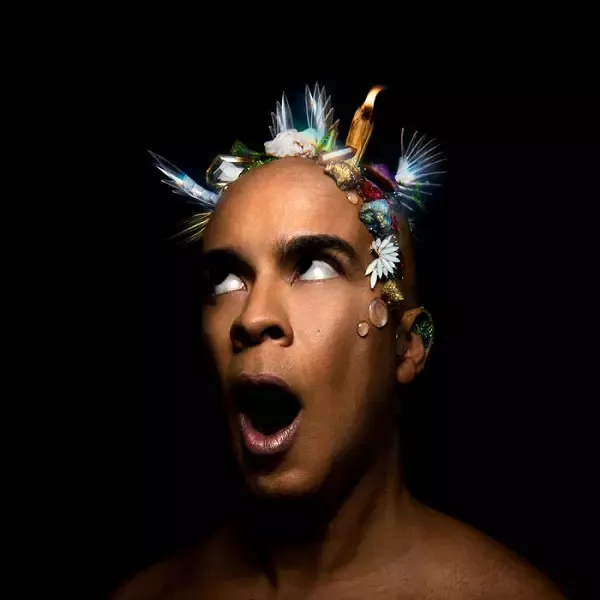 洋楽 2LP Madvillain Madvillainy STH2065 Madvillain / Madvillainy (2LP) | Stones Throw Records |