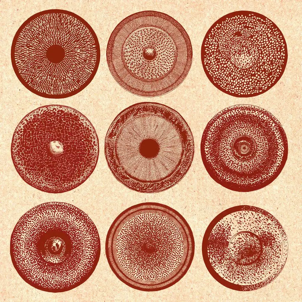 ENSEMBLE NIST-NAH / SPILLA [LP]