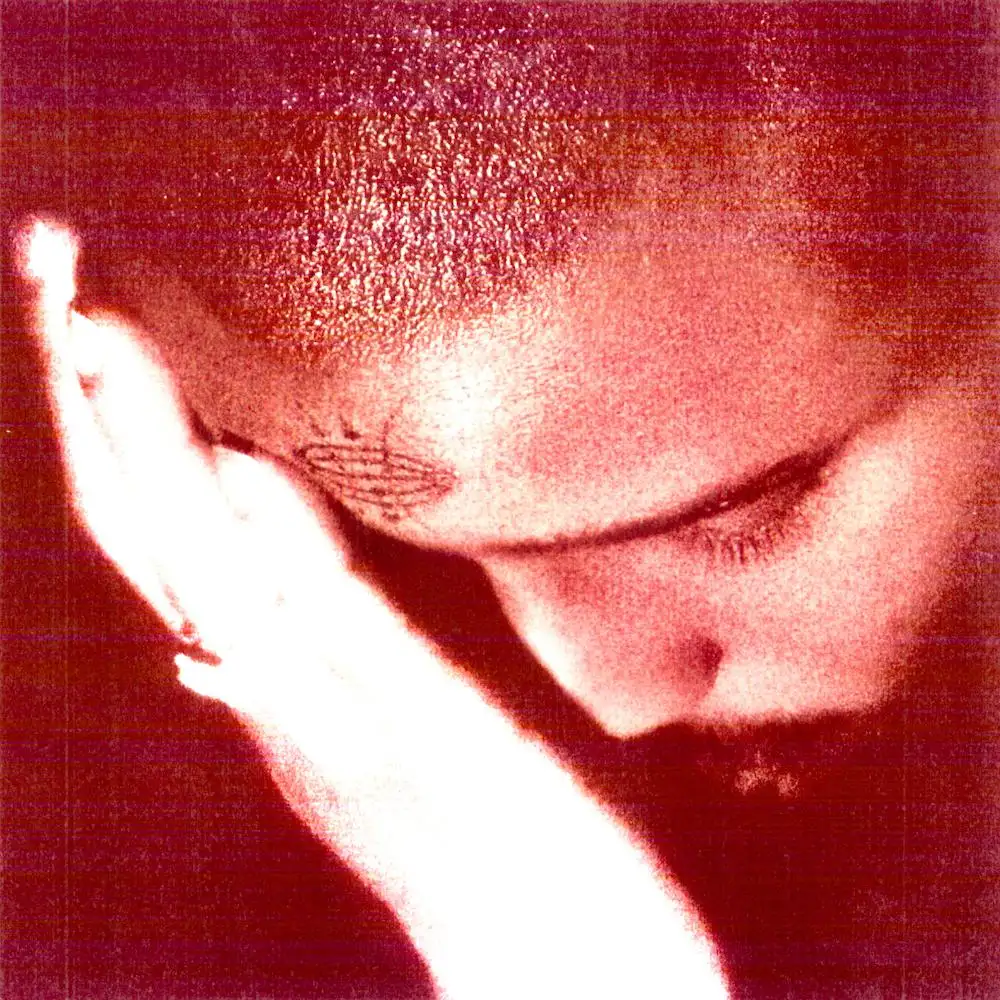 NOURISHED BY TIME / THE PASSIONATE ONES / ザ・パッショネイト・ワンズ
