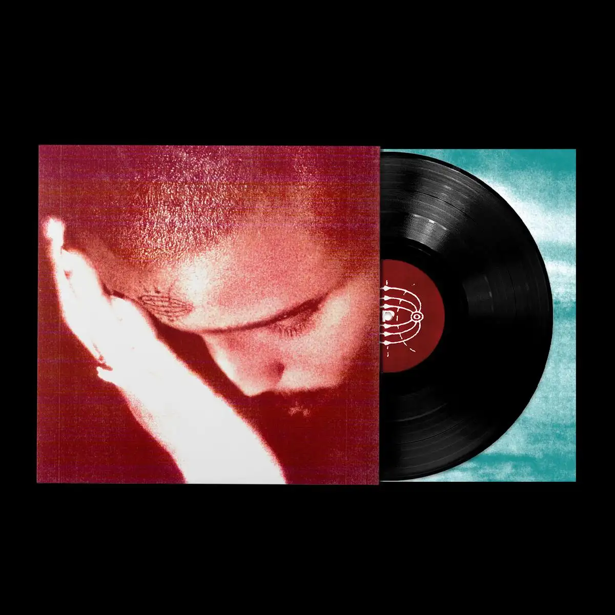 NOURISHED BY TIME / THE PASSIONATE ONES(LP)
