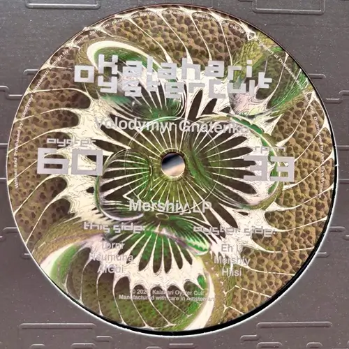 VISIONS OF THE PAST (2LP/REISSUE)/ROBERT LEINER/ロバート・ライナー