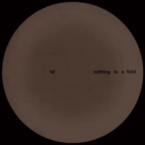 ADAM FEINGOLD / NOTHING IS A FIELD