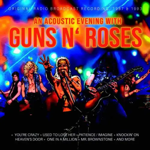 GUNS N' ROSES / ガンズ・アンド・ローゼズ / AN ACOUSTIC EVENING WITH