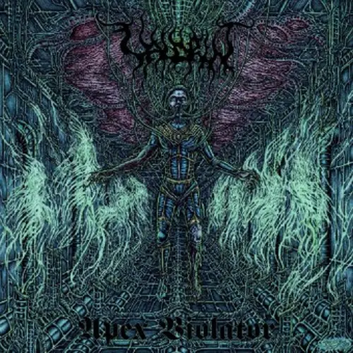 VALDRIN / APEX VIOLATOR