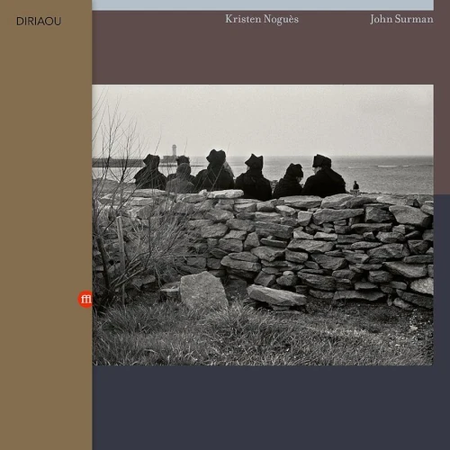 JOHN SURMAN / ジョン・サーマン / Diriaou(LP)