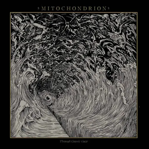 新入荷一覧/DEATH METAL / GRINDCORE｜HARD ROCK / HEAVY METAL