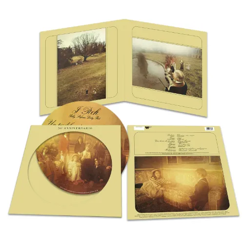 I POOH / イ・プー / UN PO' DEL NOSTRO TEMPO MIGLIORE: LIMITED PICTURE DISC VINYL