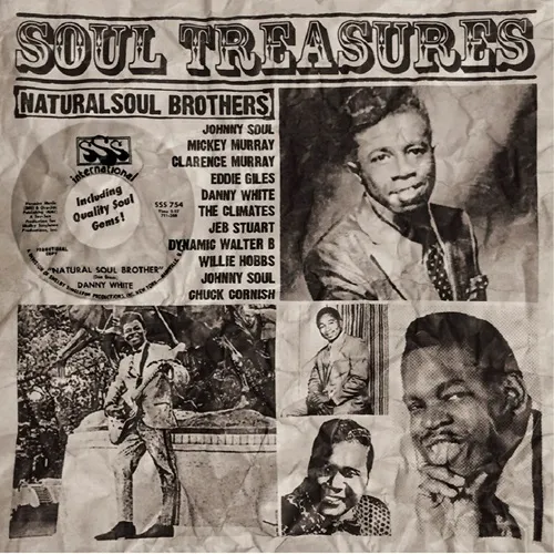 V.A. (SOUL TREASURES) / サザン・ソウル・ディープ・コレクション:ソウル・トレジャーズ VOL.1~ナチュラル・ソウル・ブラザーズ