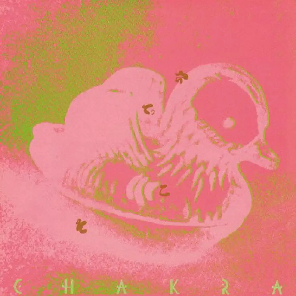 チャクラ / さてこそ +5