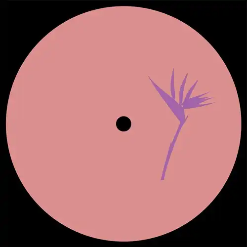 DANIEL MEISTER / LANAO IZANY EP [VINYL ONLY]